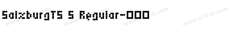 SalzburgTS 5 Regular字体转换